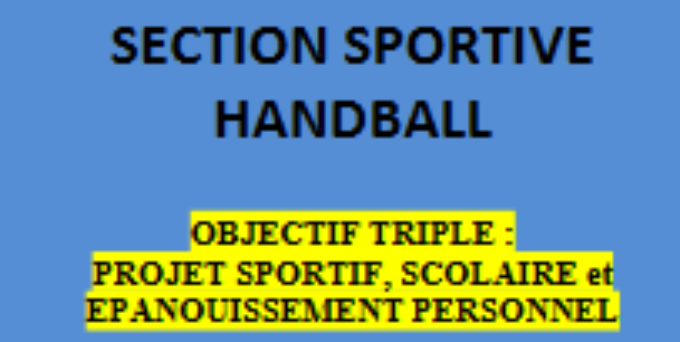 section hand.png